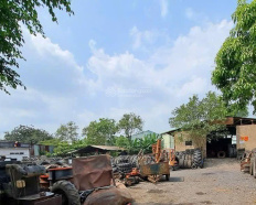 Ảnh đại diện