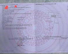 Ảnh đại diện