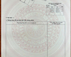 Ảnh đại diện