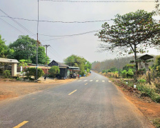 Ảnh đại diện