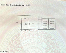 Ảnh đại diện