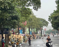 Ảnh đại diện