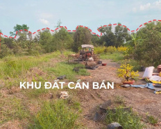 Ảnh đại diện