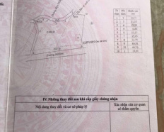 Ảnh đại diện