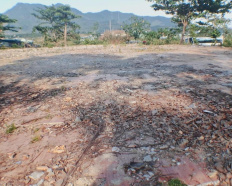 Ảnh đại diện