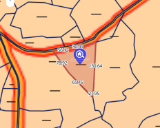 Ảnh đại diện