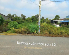 Ảnh đại diện