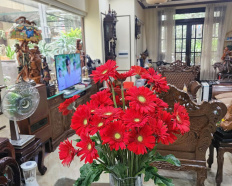 Ảnh đại diện
