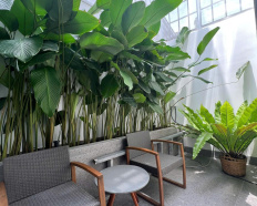 Ảnh đại diện