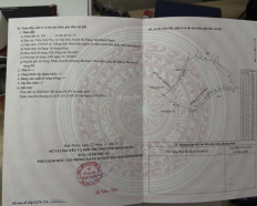 Ảnh đại diện