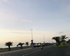 Ảnh đại diện