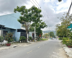 Ảnh đại diện