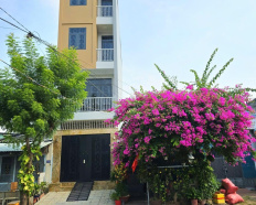 Ảnh đại diện