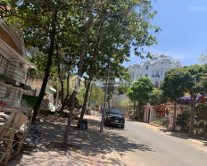 Ảnh đại diện