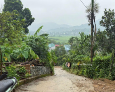 Ảnh đại diện