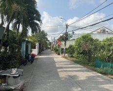 Ảnh đại diện