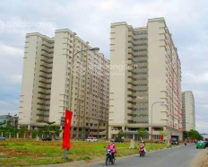 Ảnh đại diện