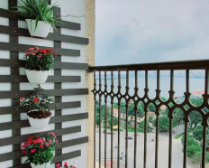 Ảnh đại diện