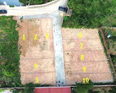 Ảnh đại diện