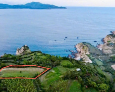 Ảnh đại diện