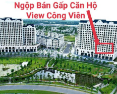 6
            
        
        
            
                
                    
                        Ngộp cần bán gấp căn 2PN 3 tỷ có nội thất cơ bản, view trực diện công viên
                    
                
                
                    
                        3 tỷ
                            ·
                            65 m²
                            ·
                            46,15 tr/m²

                            ·
                            2
                            ·
                            2
                            
                    
                    
                            
                        H. Nhơn Trạch (X. Đại Phước mới)
                    
                    
                
            
            
                
                            
                                
                                        
                                    

                                
                                
                                    
                                        ‎NGUYỄN HỬU DỰ
                                    
                                    
                                                
            Đăng hôm qua