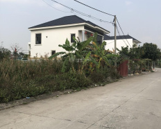 Ảnh đại diện