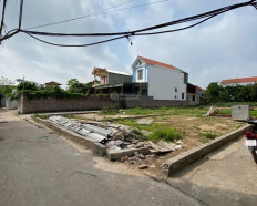 Ảnh đại diện