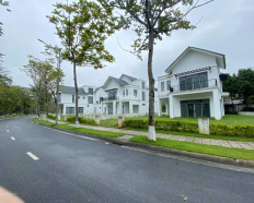Ảnh đại diện