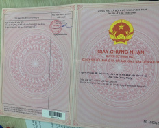 Ảnh đại diện