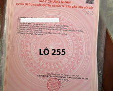 Ảnh đại diện