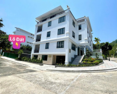 Ảnh đại diện