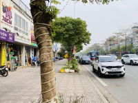 Ảnh đại diện