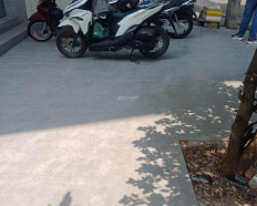 Ảnh đại diện