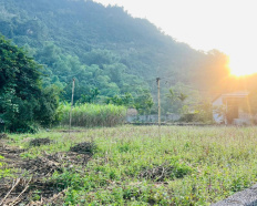 Ảnh đại diện