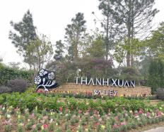 Ảnh đại diện