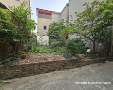 Ảnh đại diện