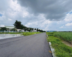 Ảnh đại diện