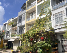 Ảnh đại diện