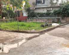 Ảnh đại diện