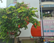 Ảnh đại diện