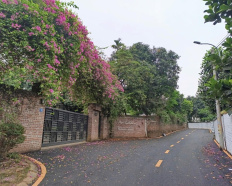 Ảnh đại diện