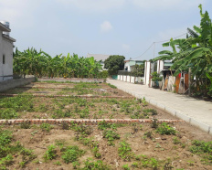 Ảnh đại diện