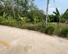 9
            
        
        
            
                
                    
                                
                        Chính chủ gửi bán đất Tân Thành 56 full thổ cư (708.5m² ngang 12m đất rộng đẹp)
                    
                
                
                    
                        9,65 tỷ
                            ·
                            708,5 m²
                            ·
                            13,61 tr/m²

                            
                    
                    
                            
                        X. Bắc Tân Uyên (H. Bắc Tân Uyên cũ)
                    
                    
                
                    
                        Vị trí: Tân Thành 56, Bắc Tân Uyên, Bình Dương. Diện tích: 708.5m² (ngang 12m dài 60m). Thổ cư: 648,5m². Hướng: Nam. Đường vào: 7m xe hơi né nhau. Giá: 9 tỷ 645 triệu.Cách DT746B chỉ 140m. Hẻm bê tông rộng 7m, xe hơi ra vào thoải mái. Cách KCN VSIP 3 & KCN Đất Cuốc khoảng 10 phút. Gần chợ Tân Thành, trường học các cấp bán kính 4km. Gần khu hành chính & quảng trường xã Bắc Tân Uyên.Phù hợp: Xây biệt thự / nhà vườn rộng. Làm nhà trọ, kho nhỏ hoặc đ...
                    
            
            
                
                        
                                    
            Đăng hôm nay