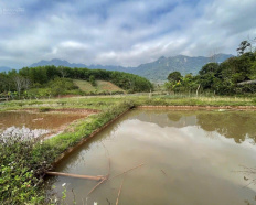 Ảnh đại diện