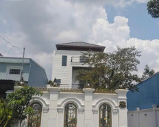 Ảnh đại diện