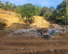Ảnh đại diện