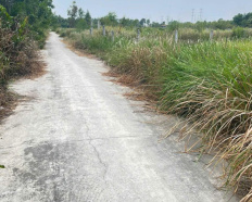 Ảnh đại diện
