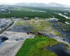 Ảnh đại diện