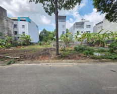Ảnh đại diện