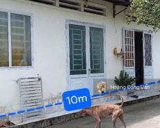 Ảnh đại diện